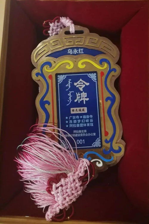 乌永红老师获阿左旗见义勇为模范奖