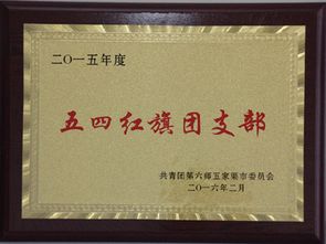 五家渠市政府 五家渠第三小学团支部荣获师市 五四红旗团委 称号