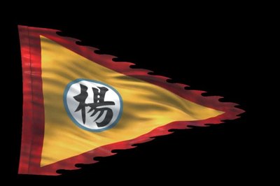 帅旗通道帅旗通道AE模板下载_光厂(VJ师网)