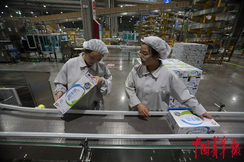 高质量发展助力年轻人在家门口就业