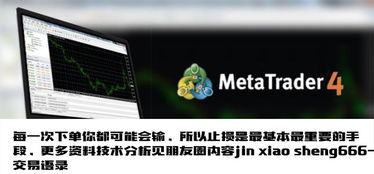 一个农村程序员的炒汇之路 重整旗鼓,开始偷师学习之路