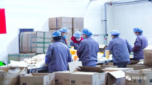 英雄武汉 中国平安丨中国平安采购察右中旗阴山优麦燕麦扶贫产品驰援武汉